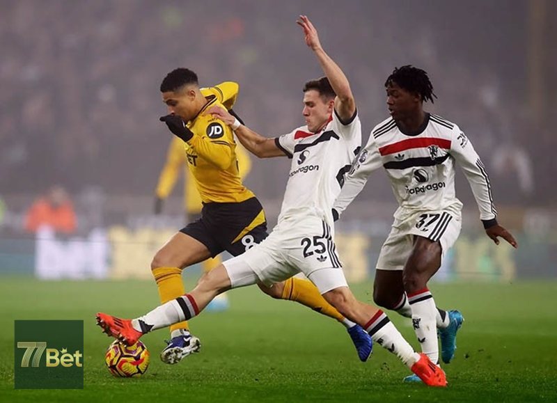 Thể thao 77BET - Giao diện trực quan, thao tác mượt mà Thể thao 77BET - Giao diện trực quan, thao tác mượt mà